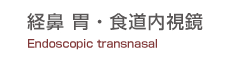 経鼻 胃・食道内視鏡